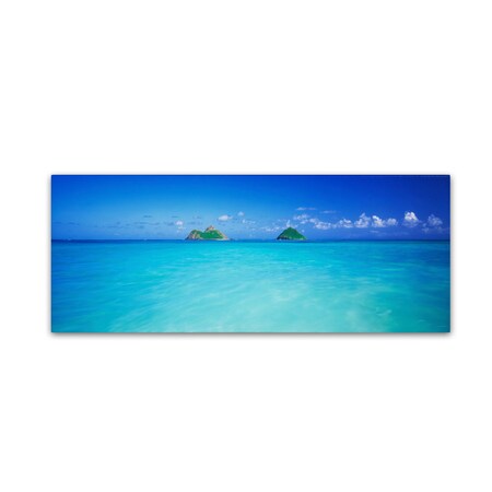 Trademark Fine Art David Evans 'Twin Islands-Oahu' Canvas Art, 16x47 DE0084-C1647GG